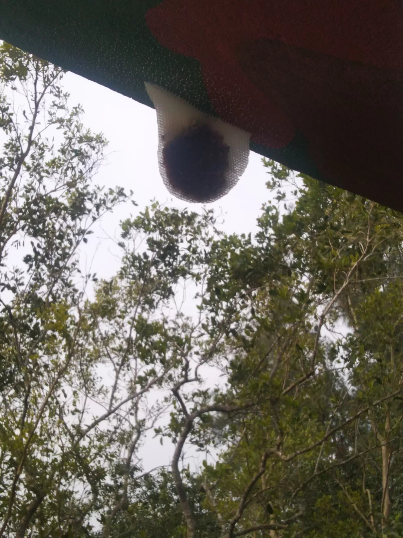 Photo of Sundarban National Park By Samapti Rooj