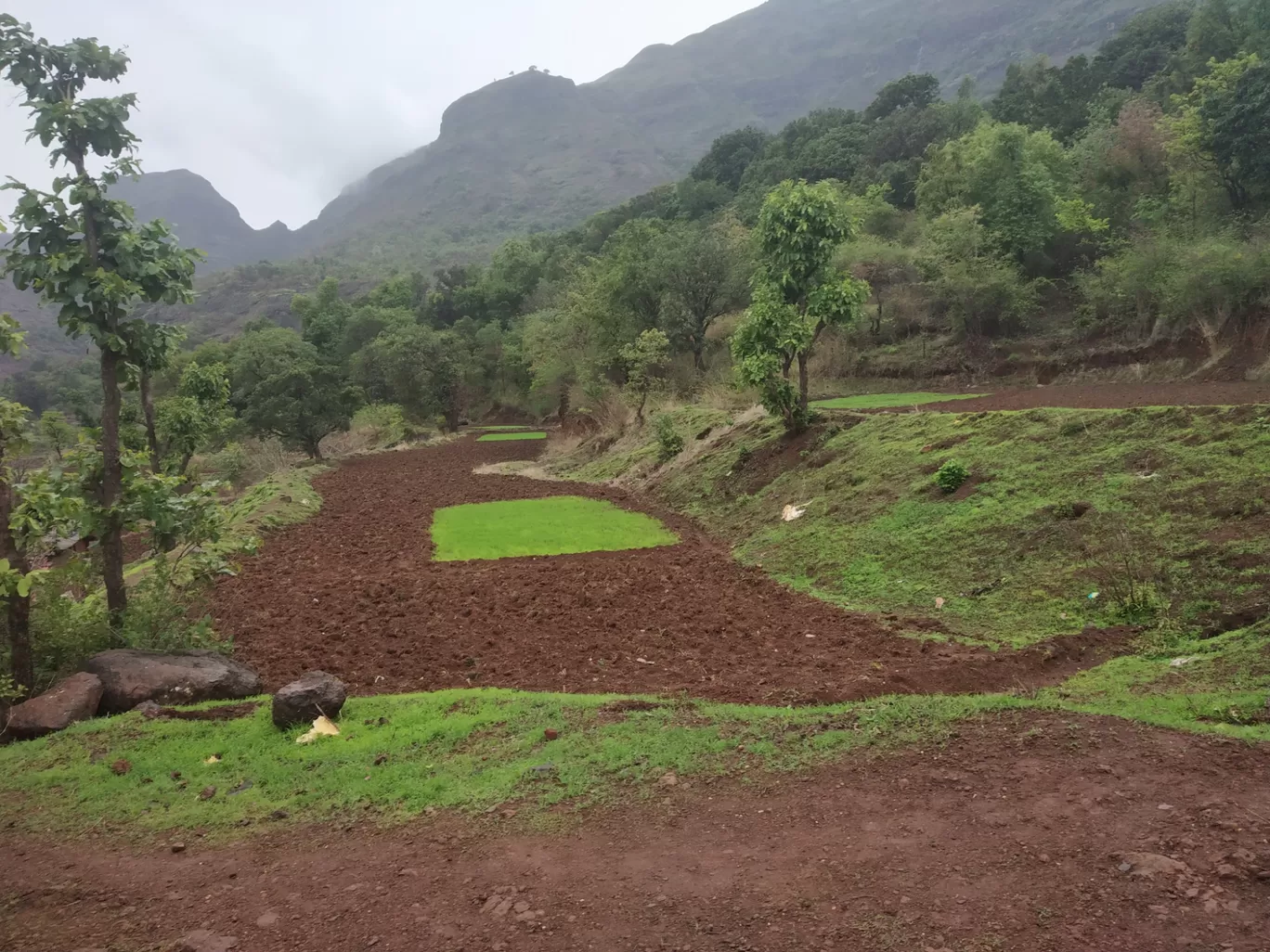 Photo of kalsubai Treking And Camping By Pratik Bhagat