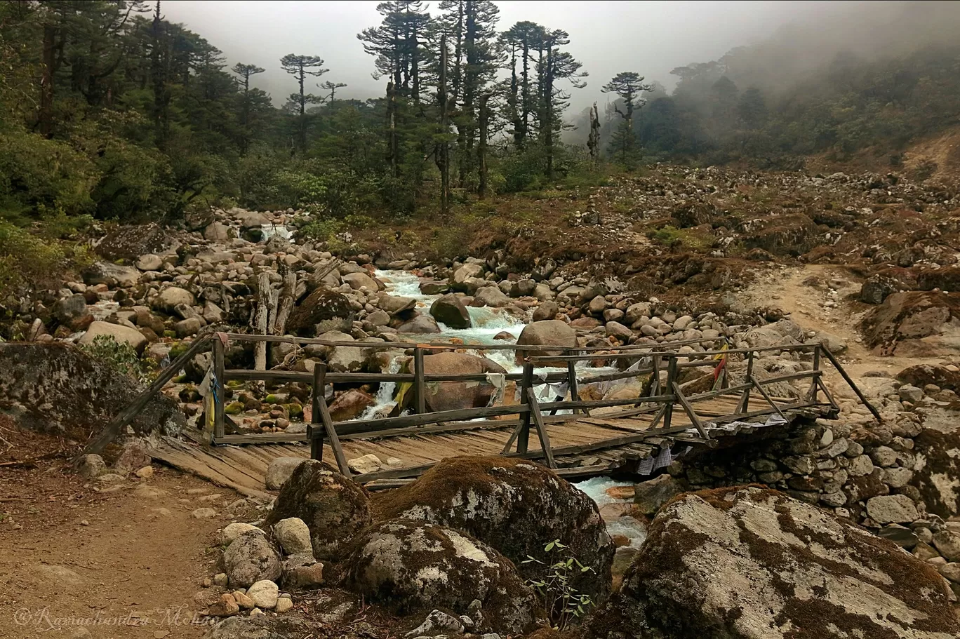 Photo of Goecha La Trek By Ramachandra Mohan