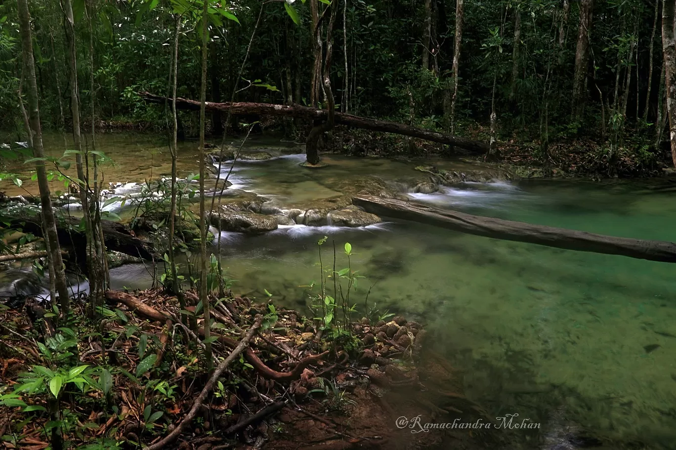 Photo of Krabi By Ramachandra Mohan