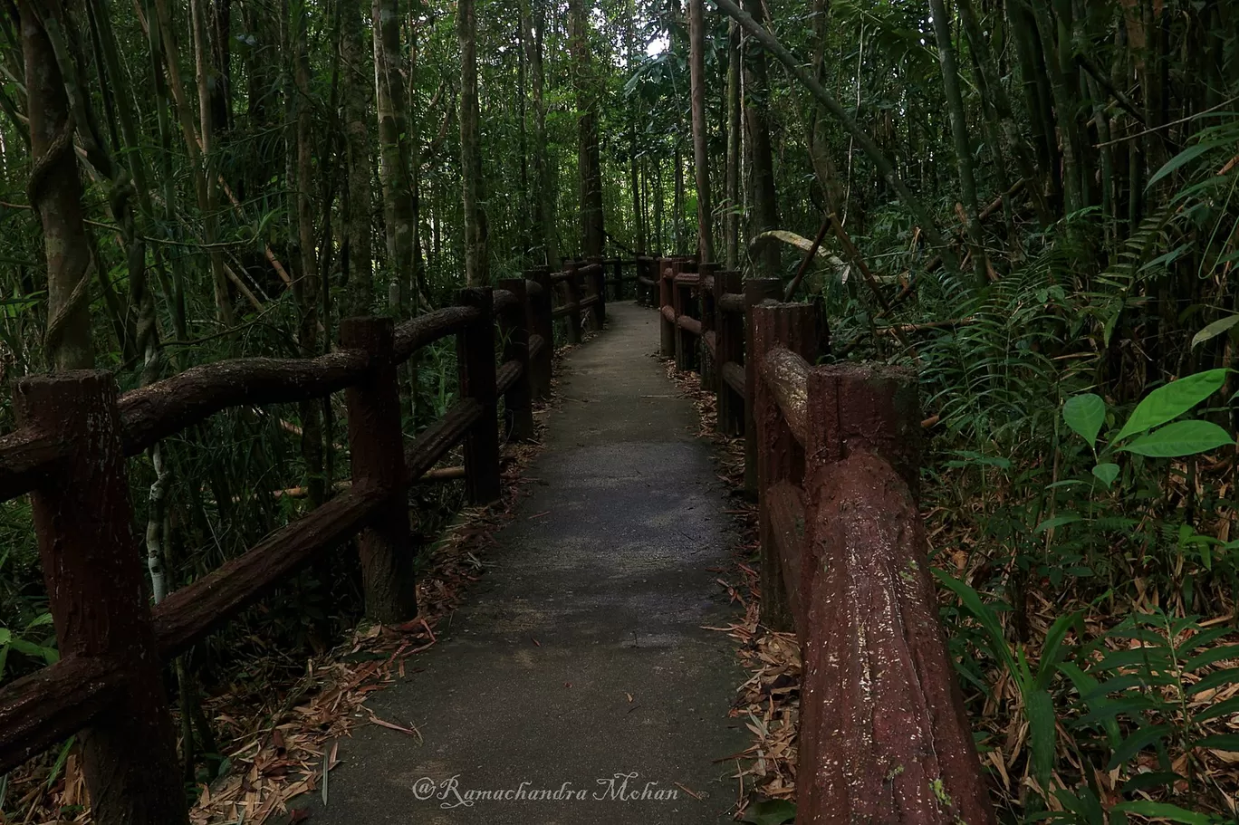 Photo of Krabi By Ramachandra Mohan