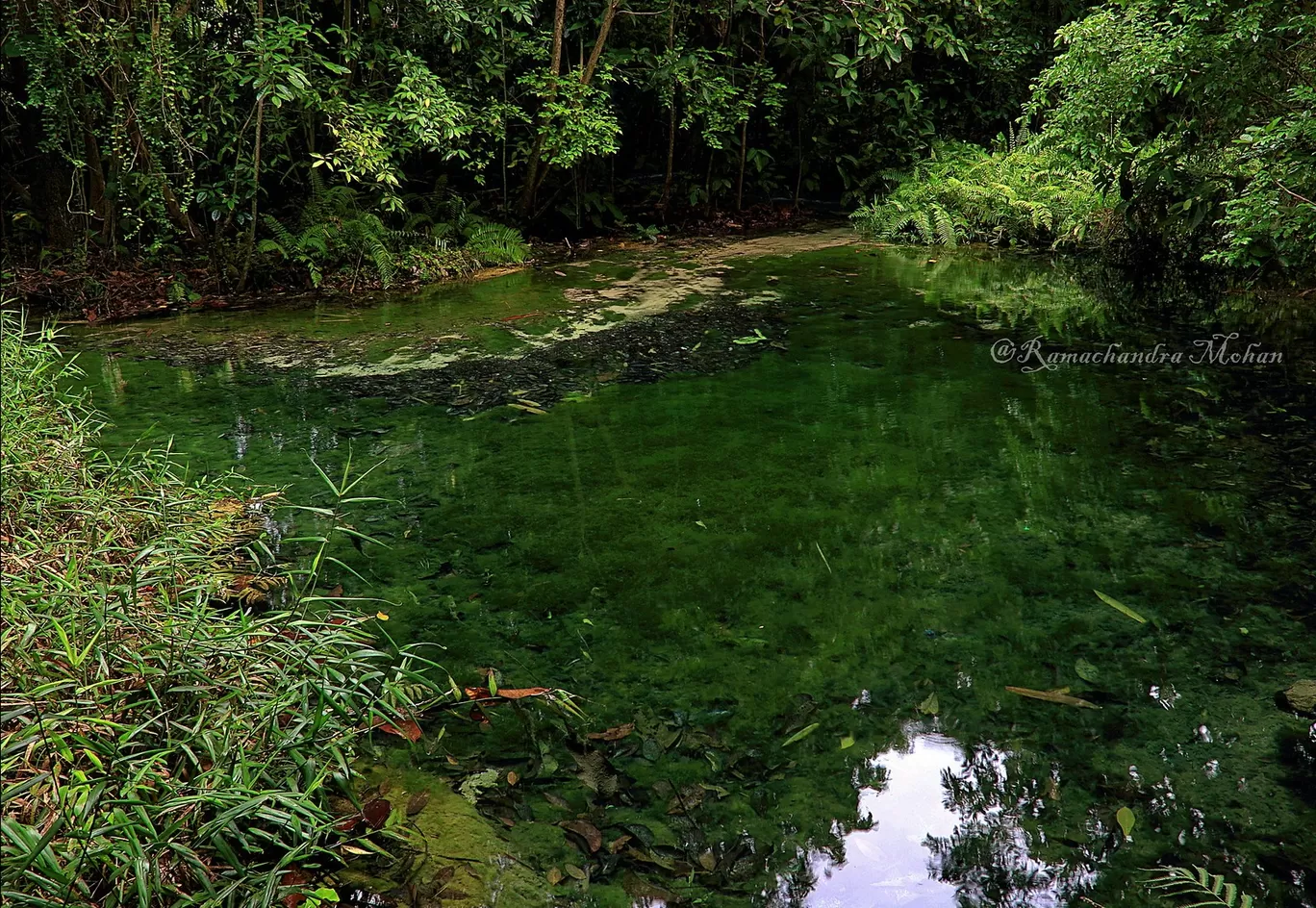 Photo of Krabi By Ramachandra Mohan