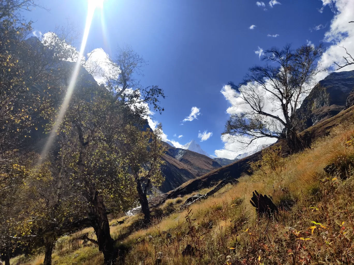 Photo of KedarTal Trek By Ramachandra Mohan