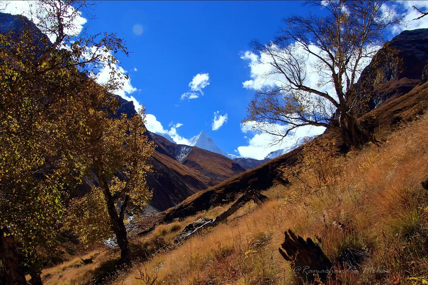 Photo of Kedartal By Ramachandra Mohan