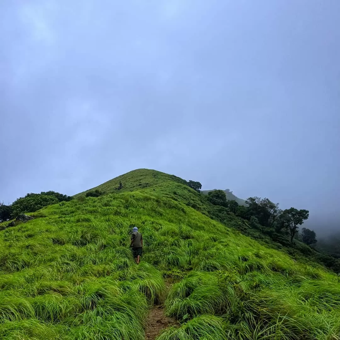 Photo of Brahmagiri By Ashwin G