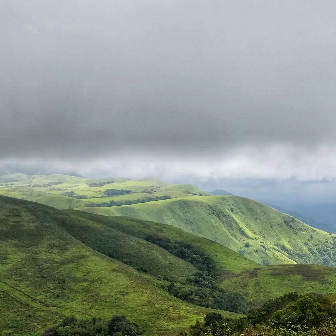 Photo of Brahmagiri By Ashwin G