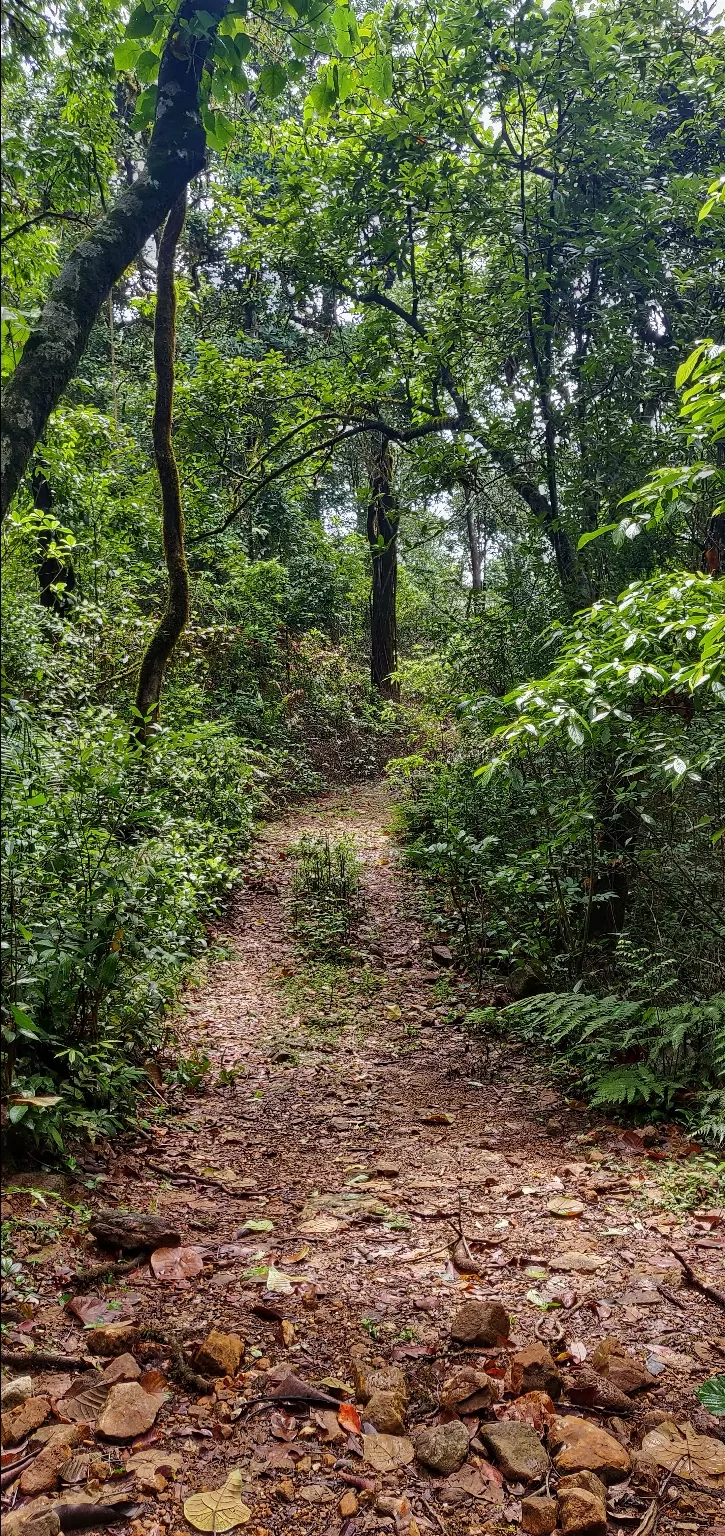 Photo of Ettina Bhuja By Ashwin G
