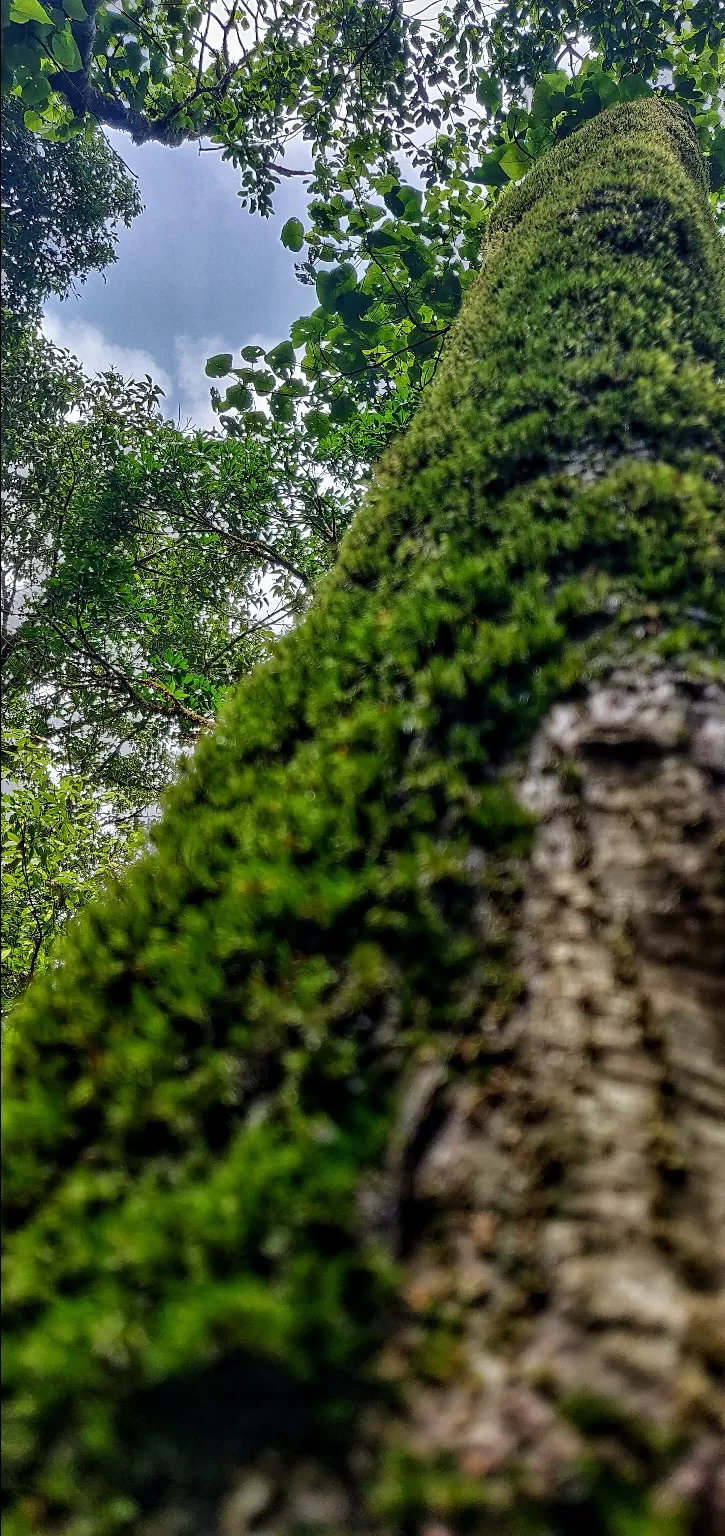 Photo of Ettina Bhuja By Ashwin G