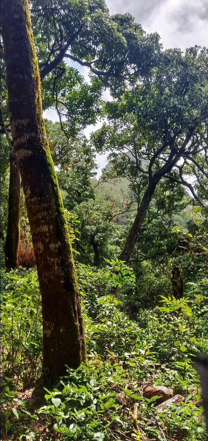 Photo of Ettina Bhuja By Ashwin G