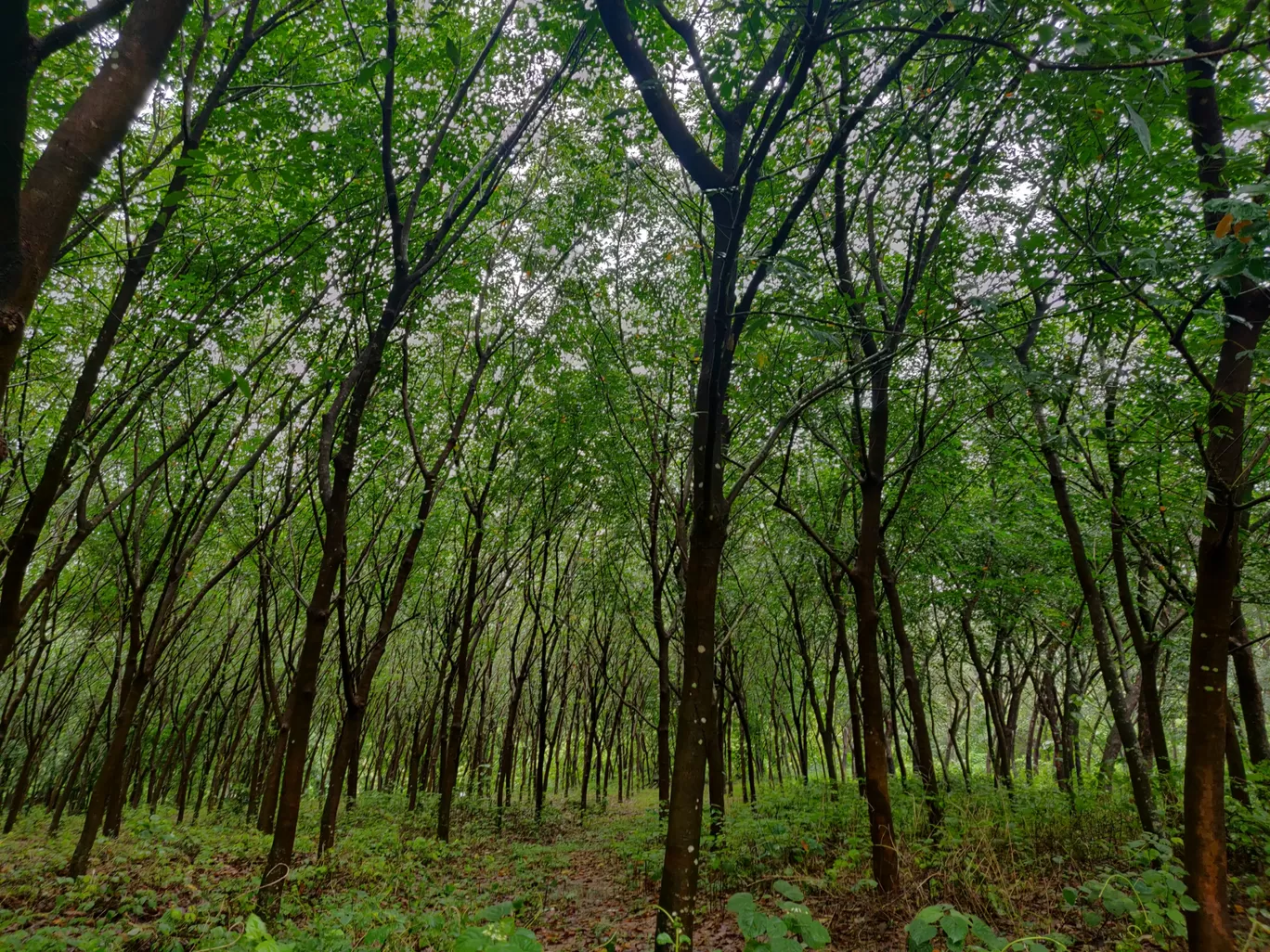 Photo of Kannur By Pranjal Bhor