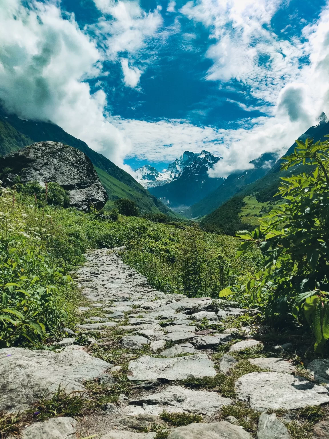Photo of Valley of Flowers National Park By i am LuKi