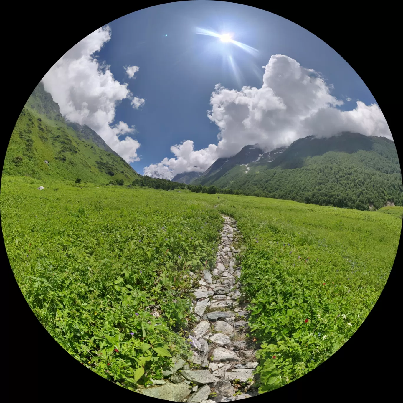 Photo of Valley of Flowers National Park By i am LuKi