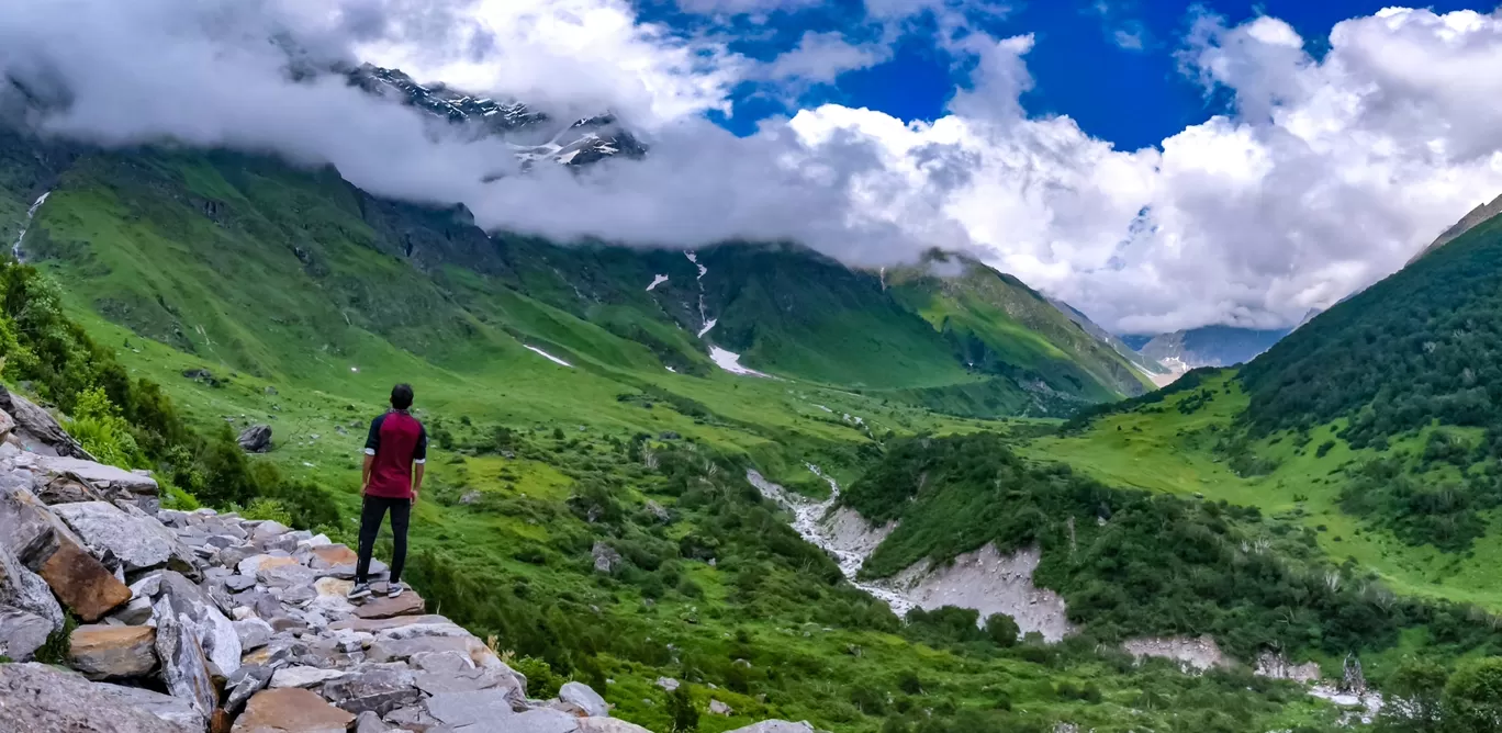 Photo of Valley of Flowers National Park By i am LuKi
