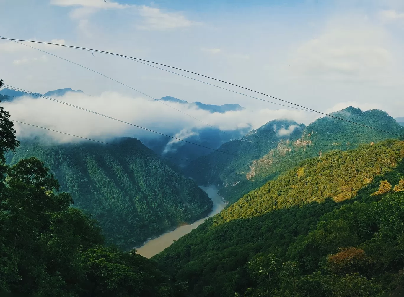 Photo of Valley of Flowers National Park By i am LuKi