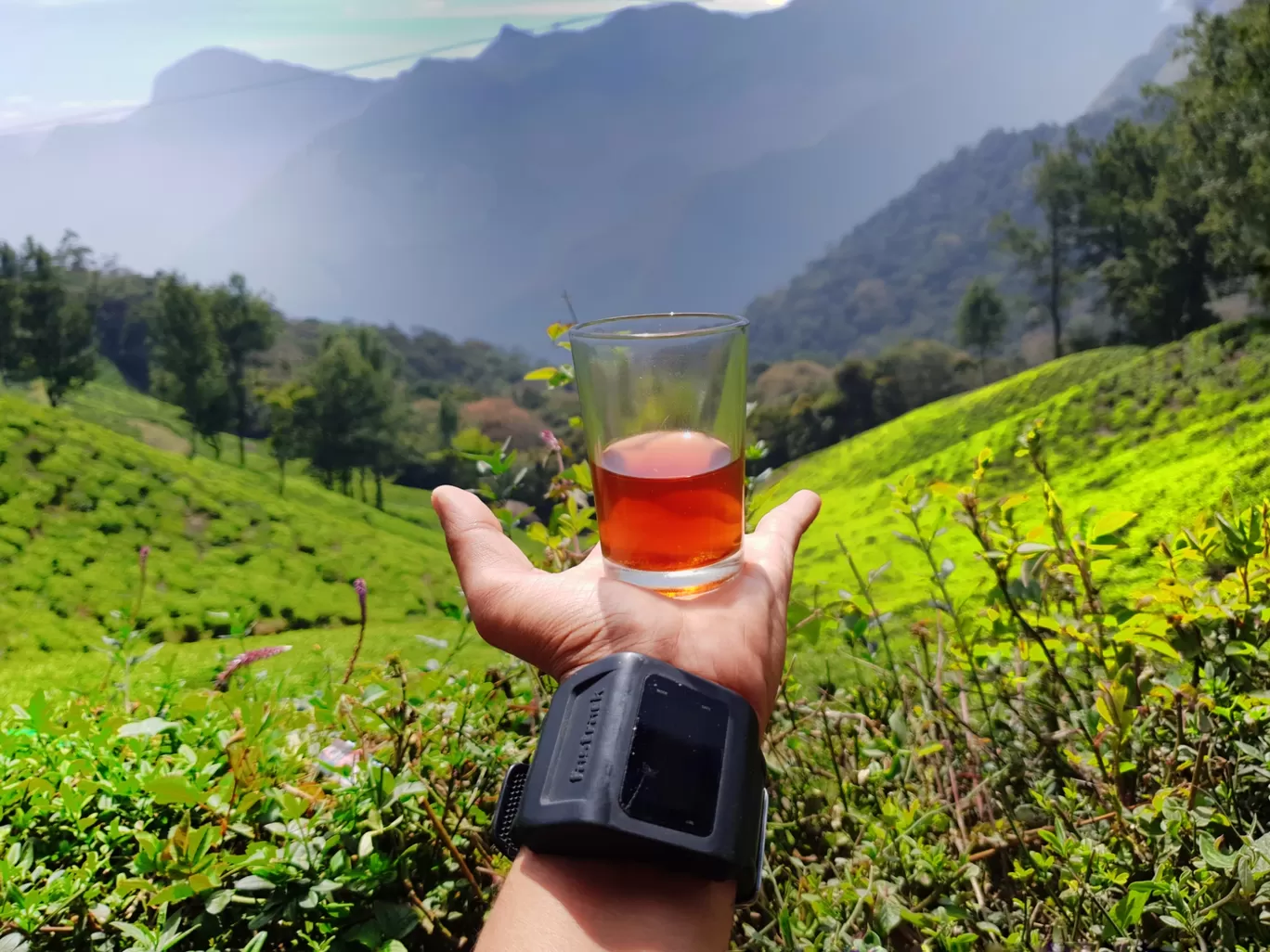 Photo of Munnar By Gaurav Zing