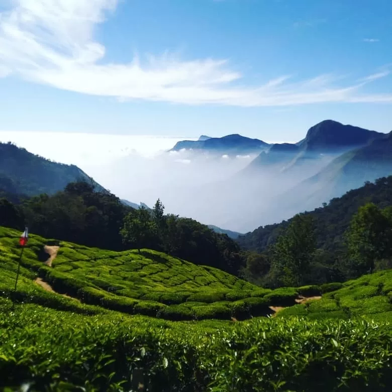 Photo of Munnar By Gaurav Zing