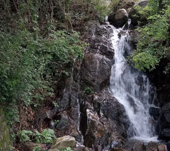 Photo of Yercaud Hill Station By Suchita Yadav