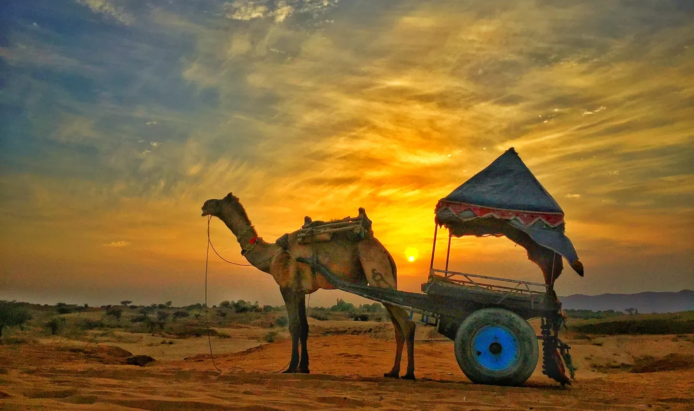 Photo of Rajasthan By Prasad Guram