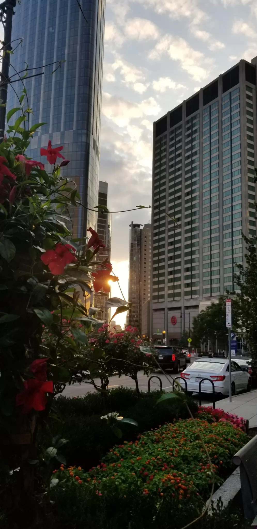 Photo of Boston By Shibya Pandey 