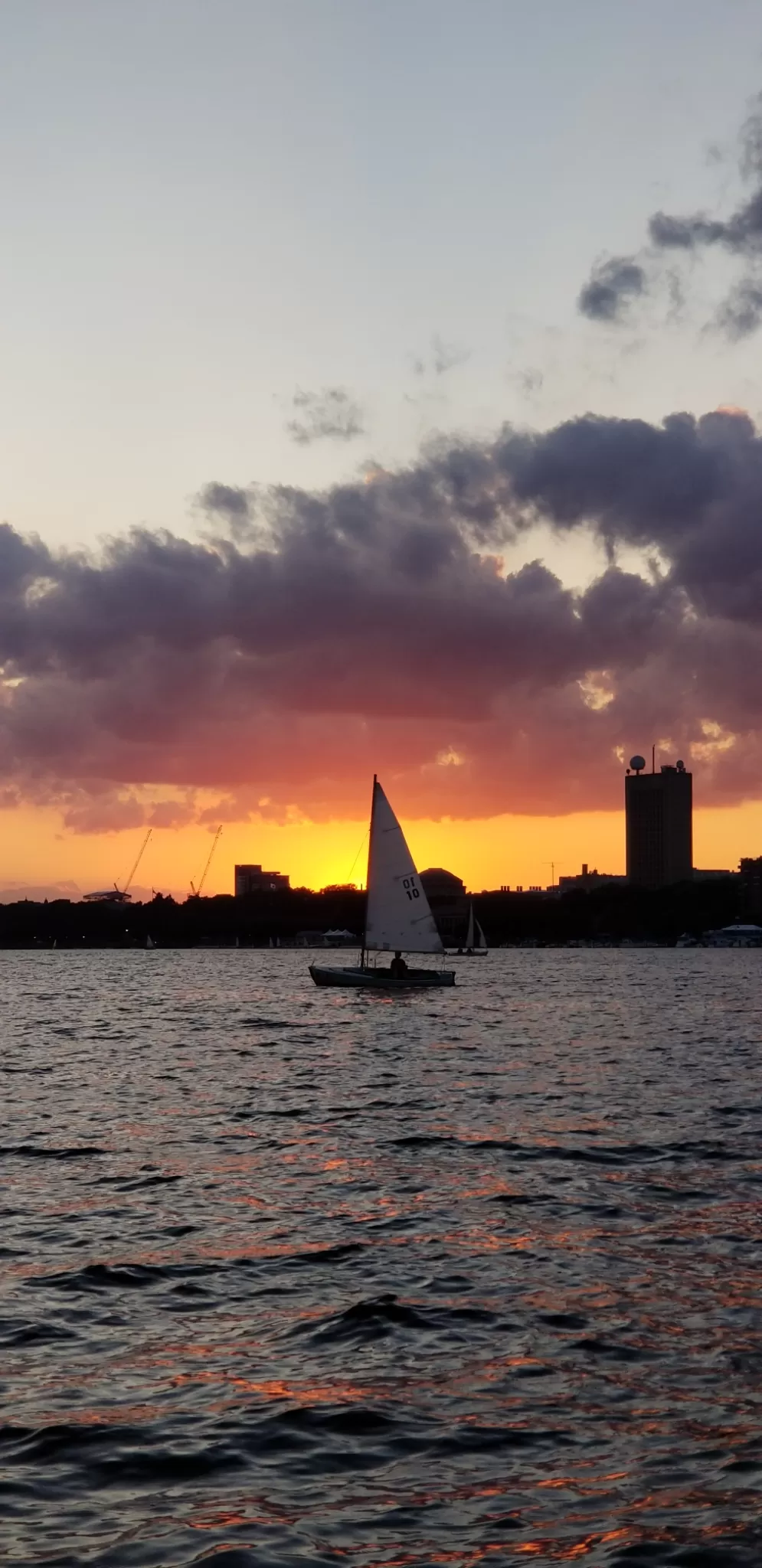 Photo of Charles River Esplanade By Shibya Pandey 