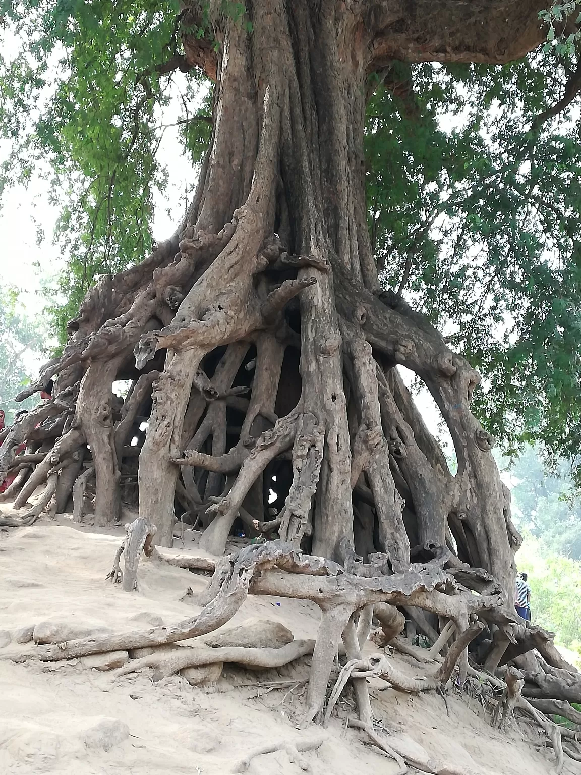 Photo of Papikondalu Tourism By Srinivas Guptha