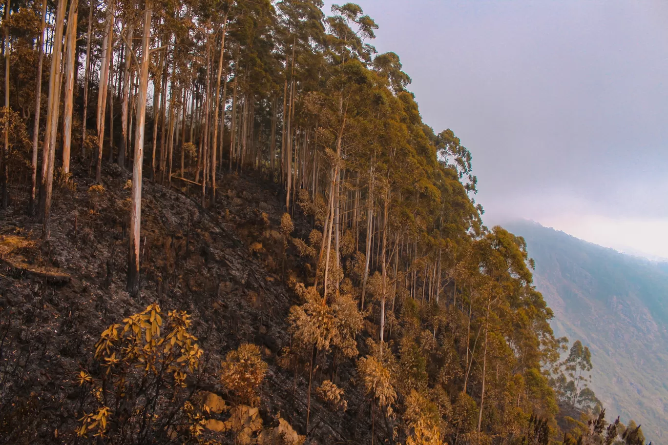 Photo of Kodaikanal By Nobin