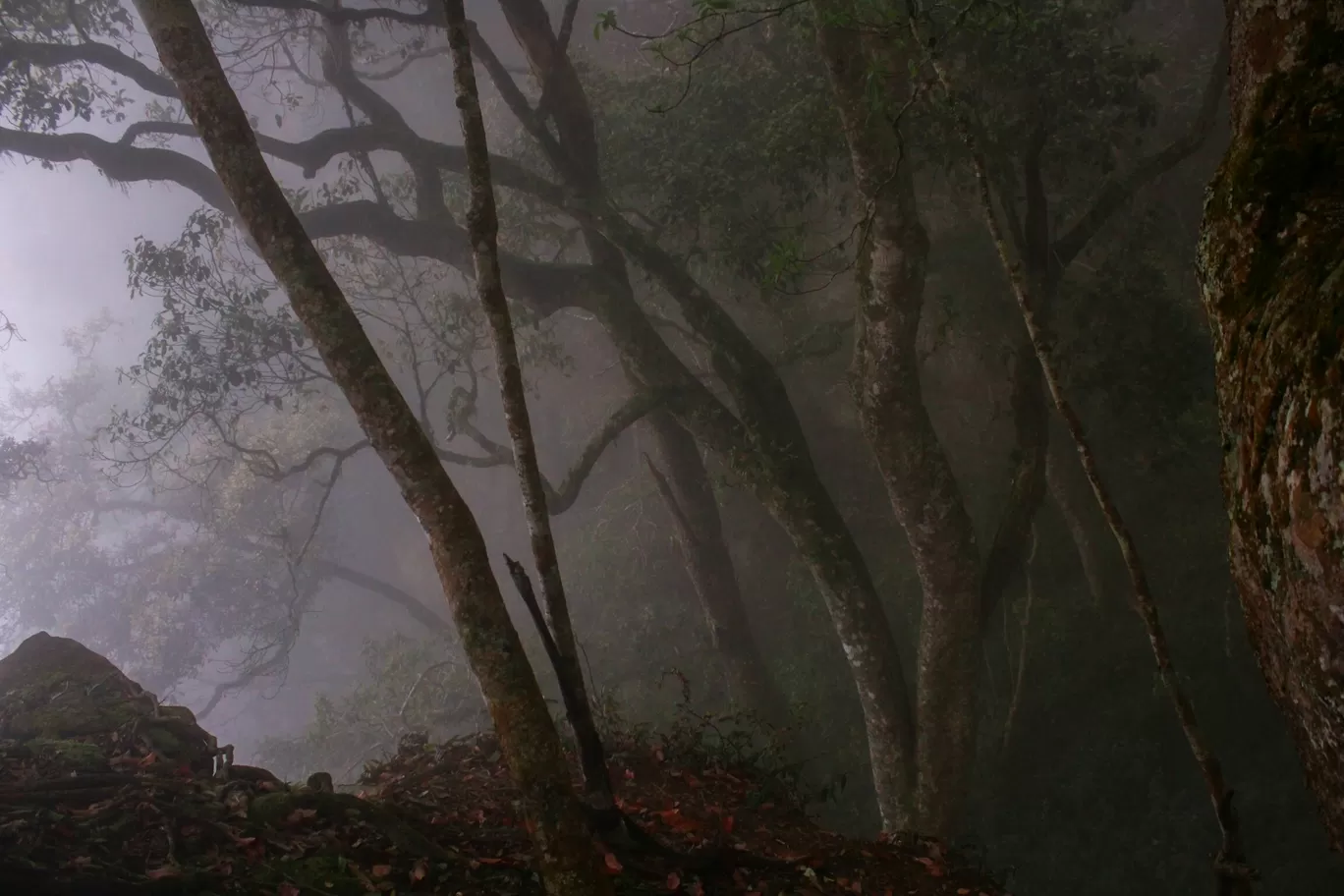 Photo of Kodaikanal By Nobin