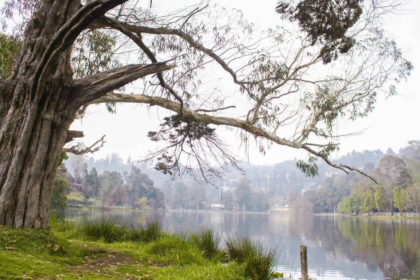 Photo of Kodaikanal By Nobin