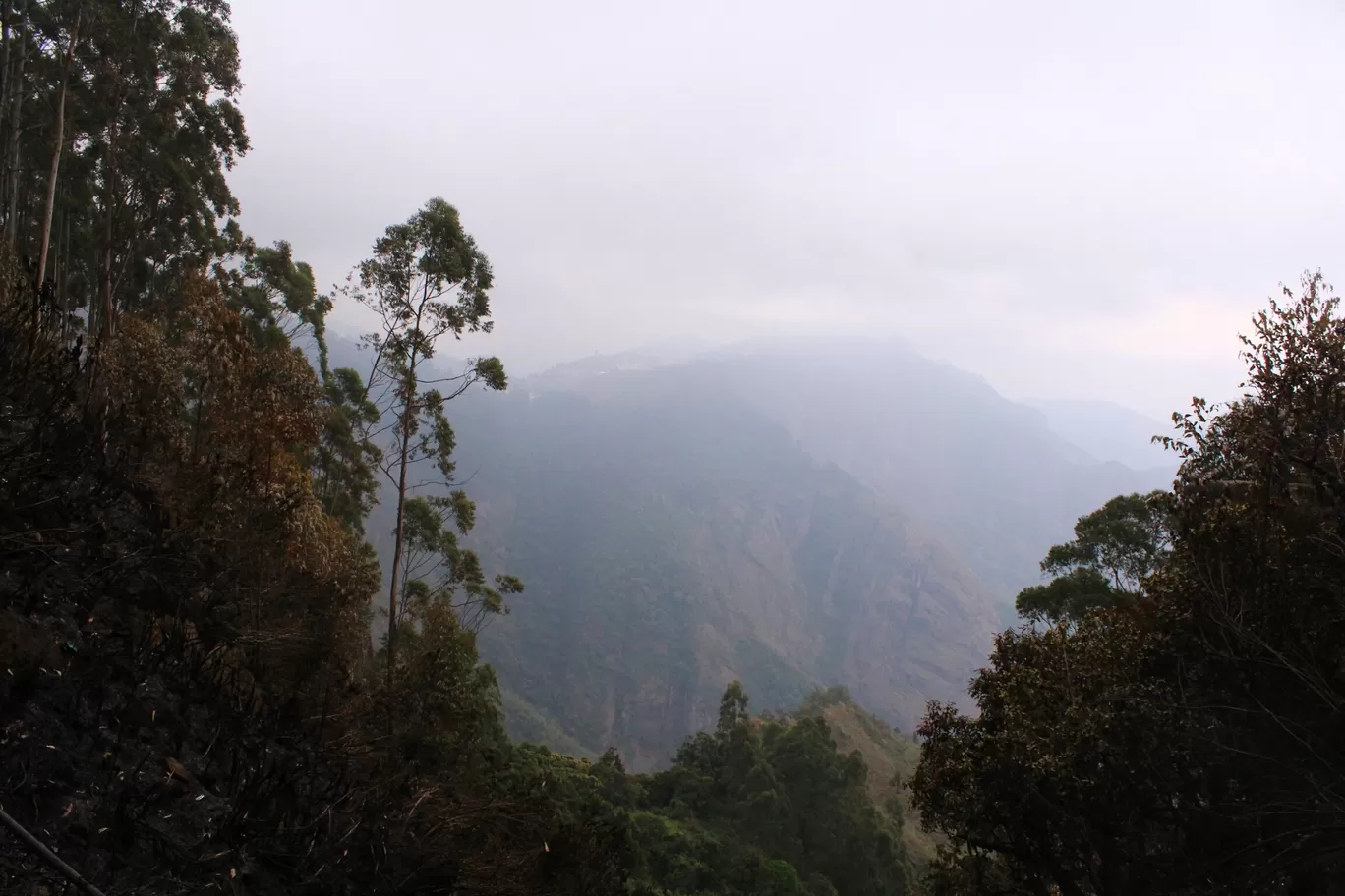 Photo of Kodaikanal By Nobin Thampi