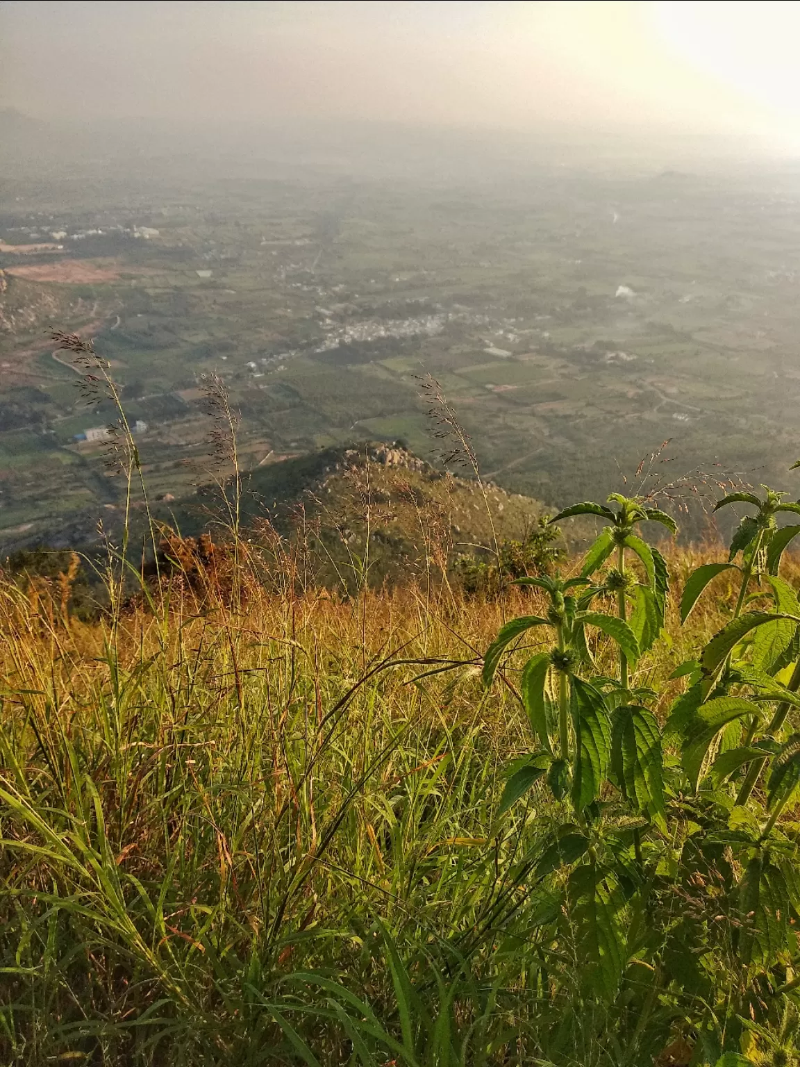 Photo of Goa By Rohan