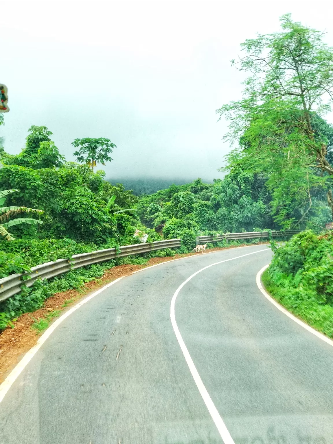 Photo of Goa By Rohan