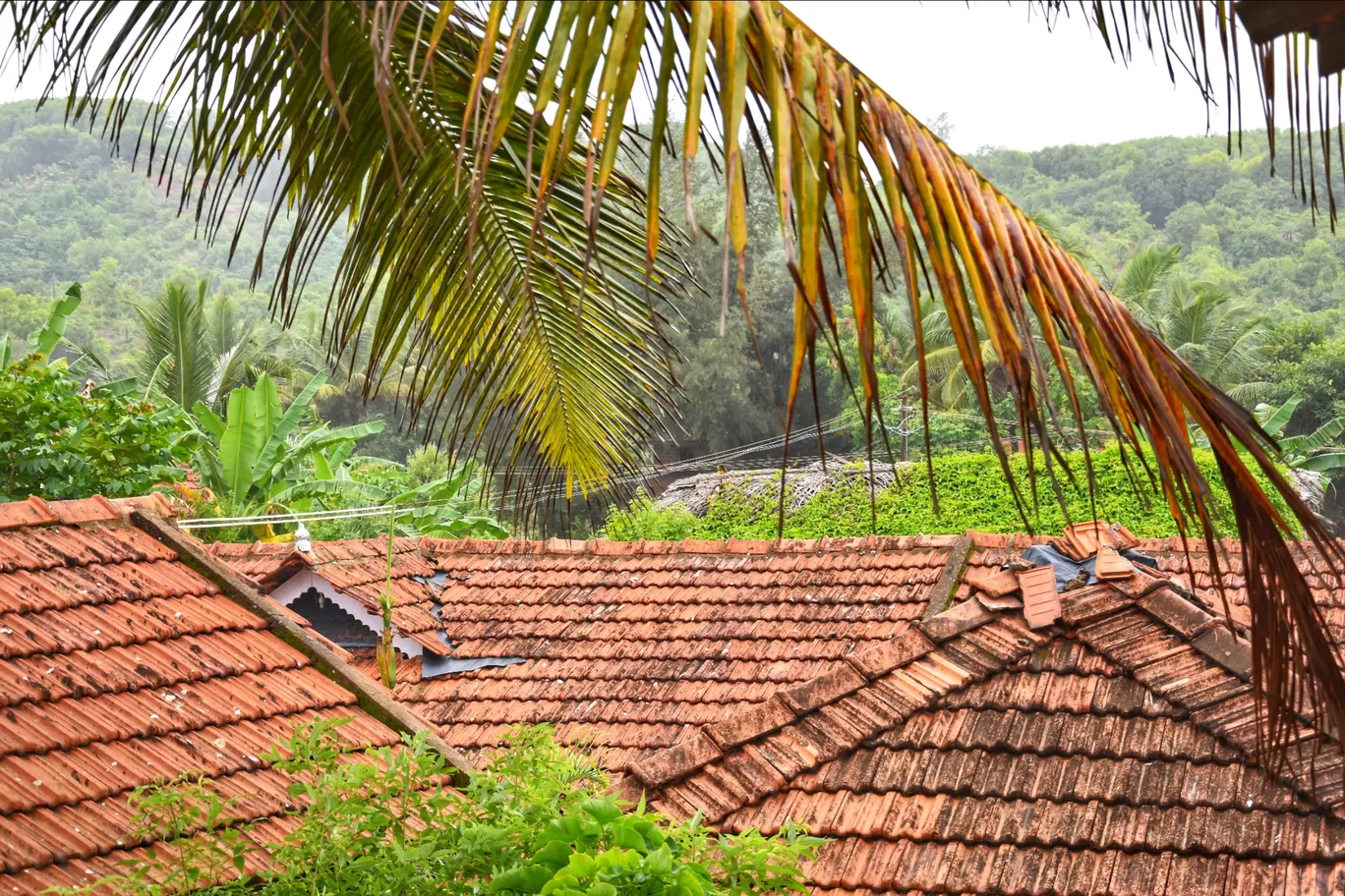 Photo of Goa By Rohan