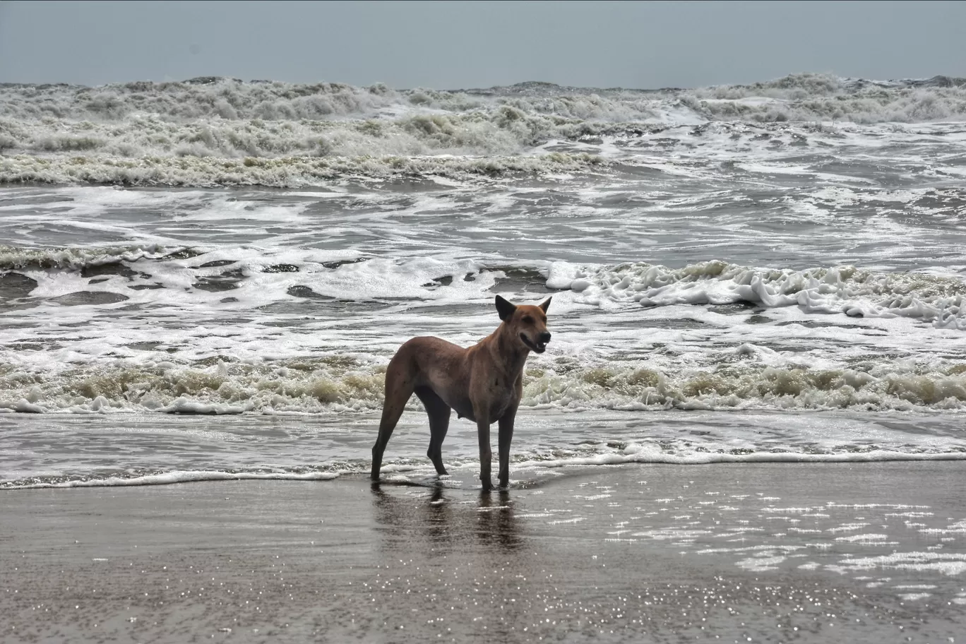 Photo of Goa By Rohan