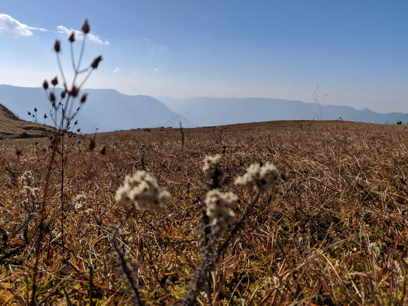 Photo of Laitlum Canyon Ridge By Nikita Khetan