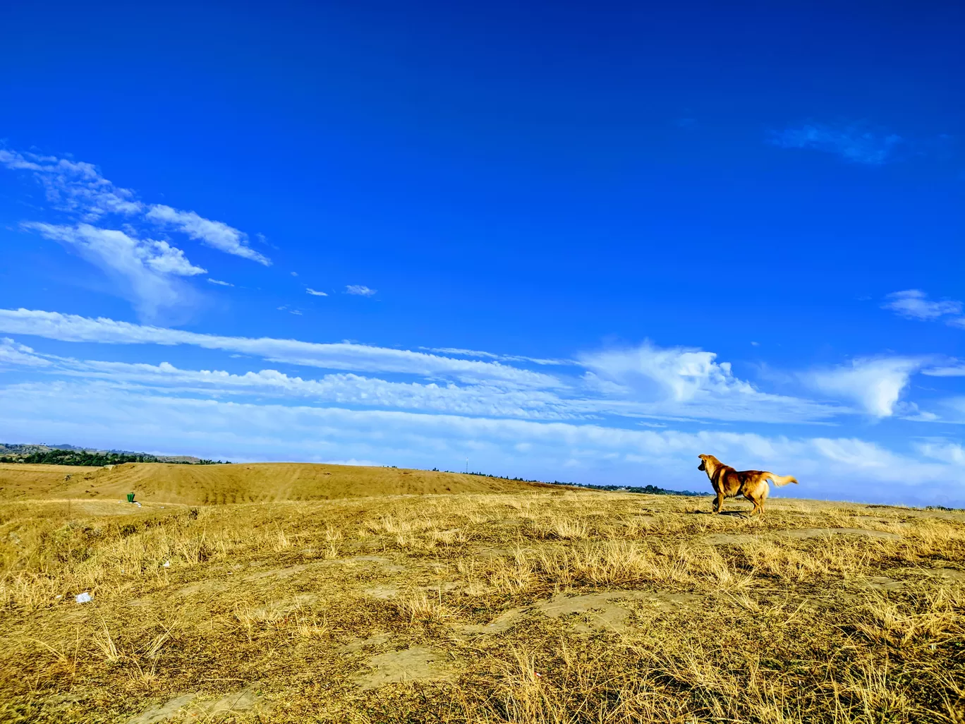 Photo of Laitlum Canyon Ridge By Nikita Khetan