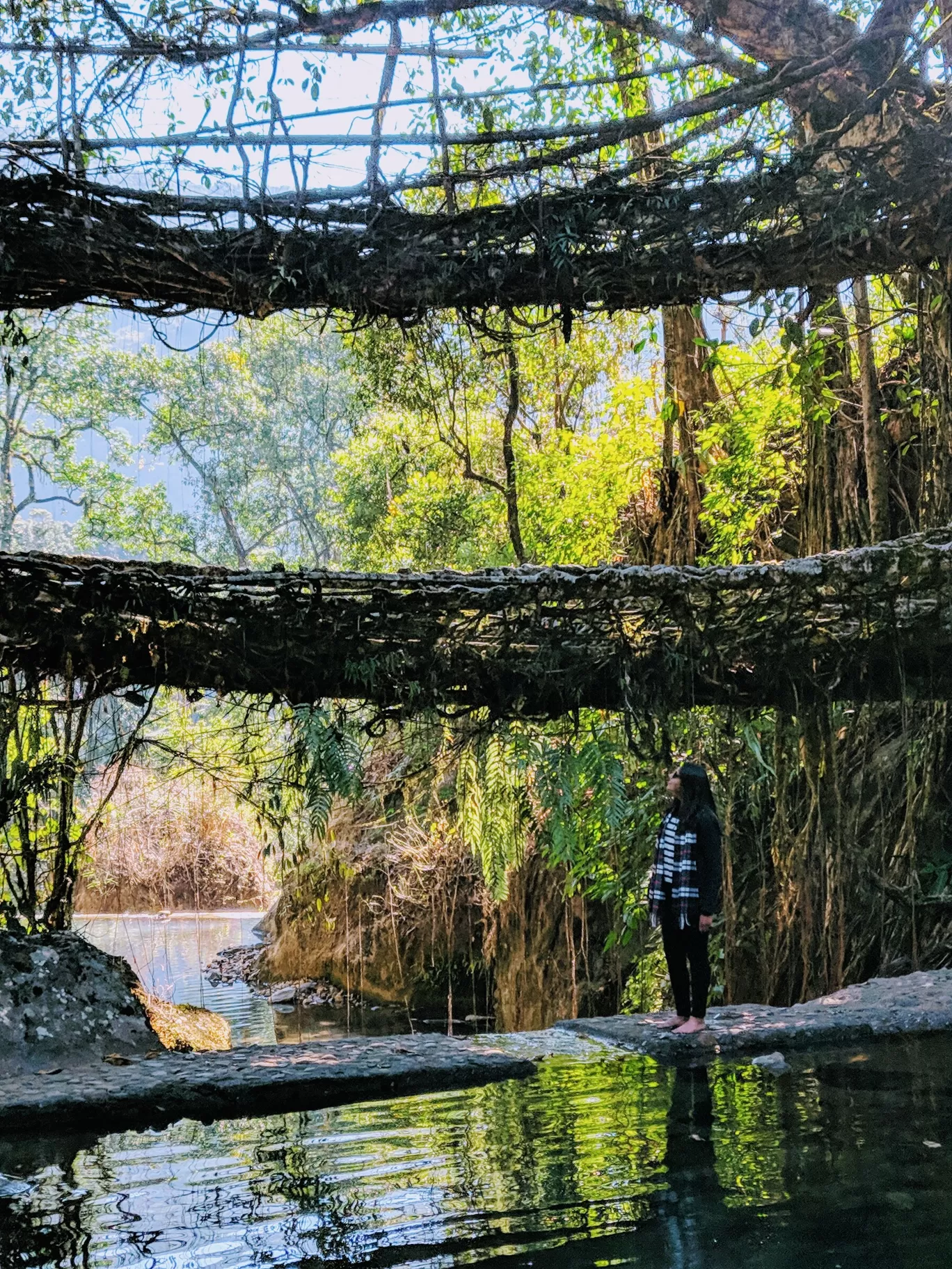 Photo of Jingkieng Nongriat Double Decker Living Root Bridge By Nikita Khetan