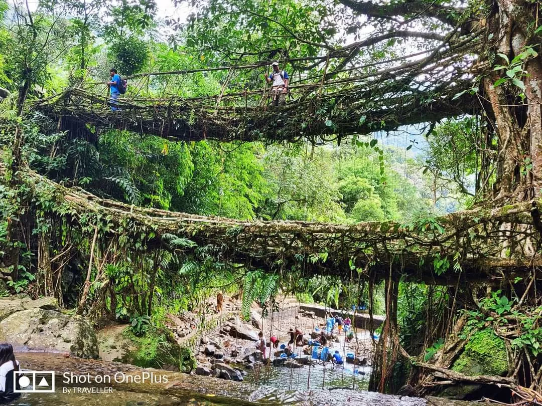 Photo of Sohra By Pankaj Mehta Traveller