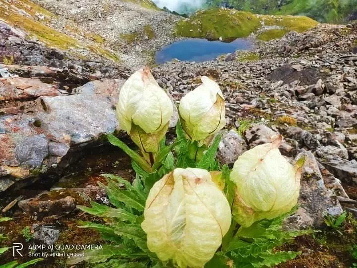 Photo of Kagbhusandi lake By Pankaj Mehta Traveller