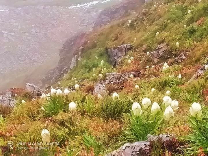 Photo of Kagbhusandi lake By Pankaj Mehta Traveller