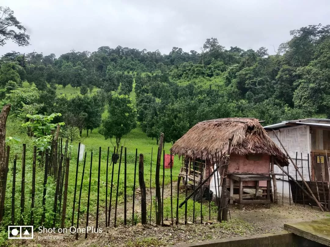 Photo of Tezu By Pankaj Mehta Traveller