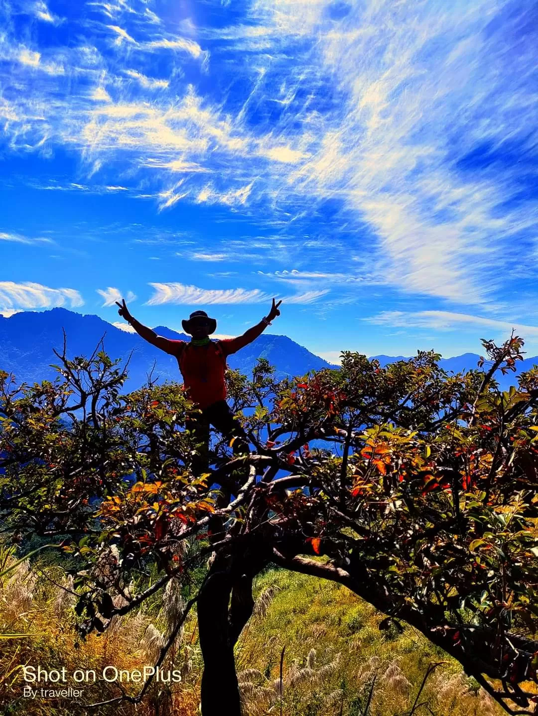 Photo of Tumjang Village By Pankaj Mehta Traveller