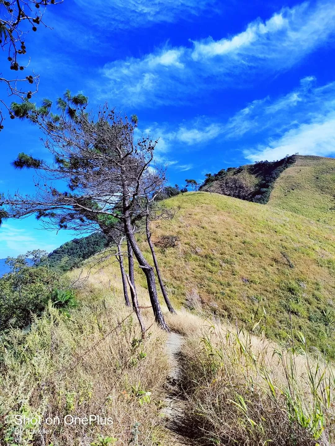 Photo of Tumjang Village By Pankaj Mehta Traveller