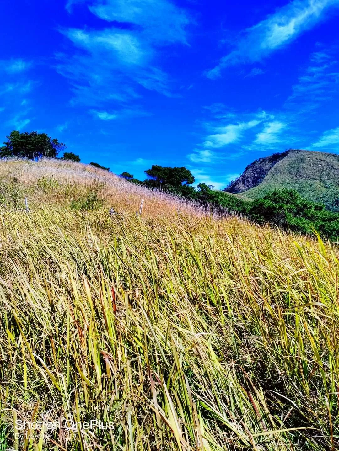 Photo of Tumjang Village By Pankaj Mehta Traveller