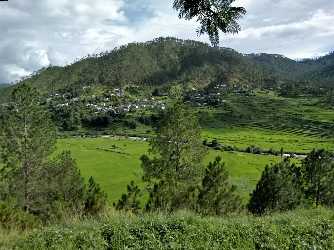 Photo of Someshwar By Pankaj Mehta Traveller