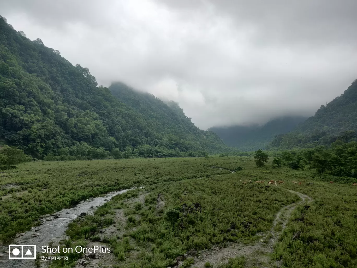 Photo of Parsuram Kund By Pankaj Mehta Traveller