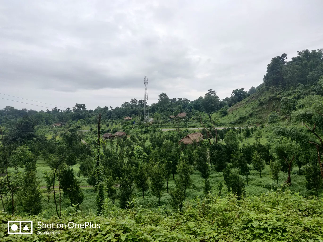 Photo of Dambuk By Pankaj Mehta Traveller