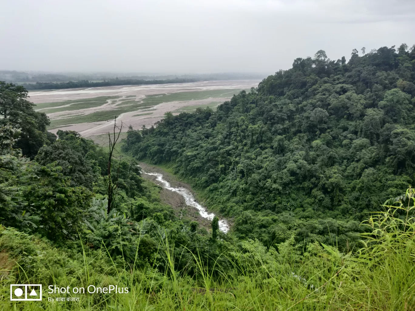 Photo of Pasighat By Pankaj Mehta Traveller