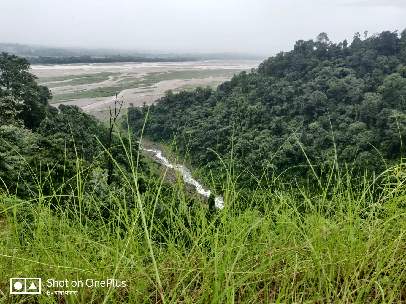 Photo of Pasighat By Pankaj Mehta Traveller