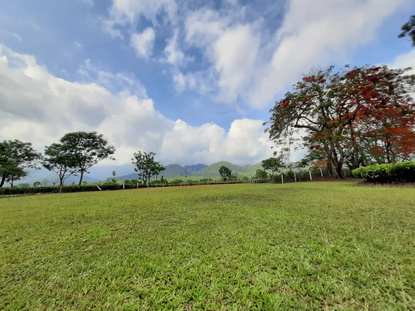Photo of Udalguri Koramore Road By Pankaj Mehta Traveller