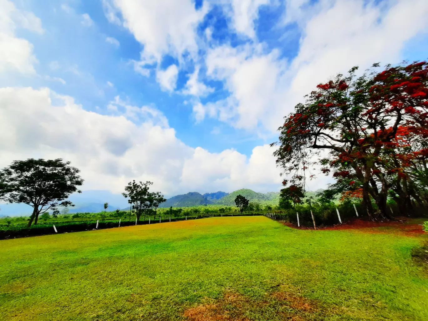 Photo of Udalguri Koramore Road By Pankaj Mehta Traveller